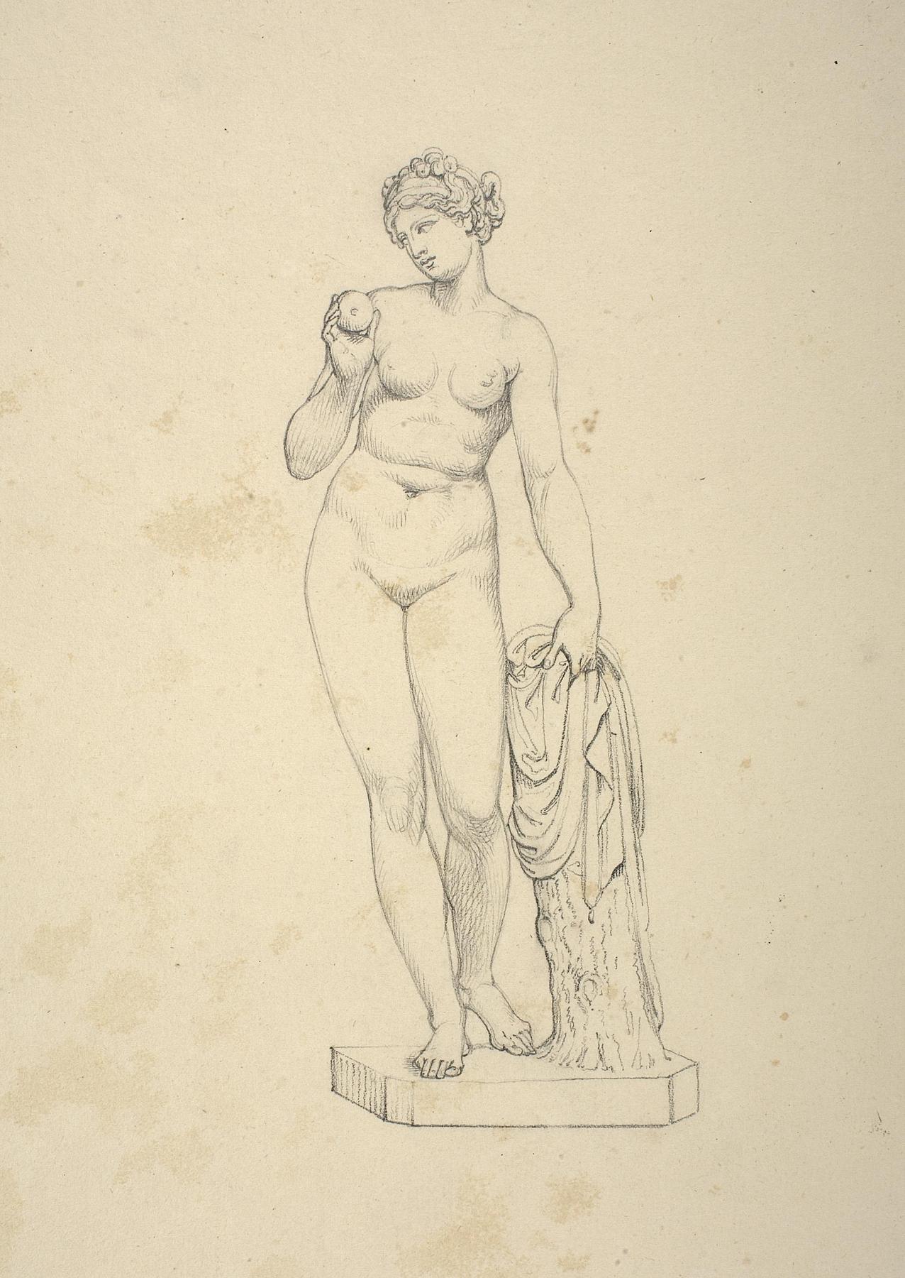 Venus med æblet, D164