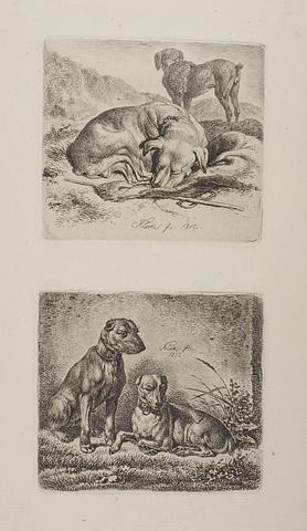 E651 Poodle and Sleeping Sheep Dog. Two Sporting Dogs