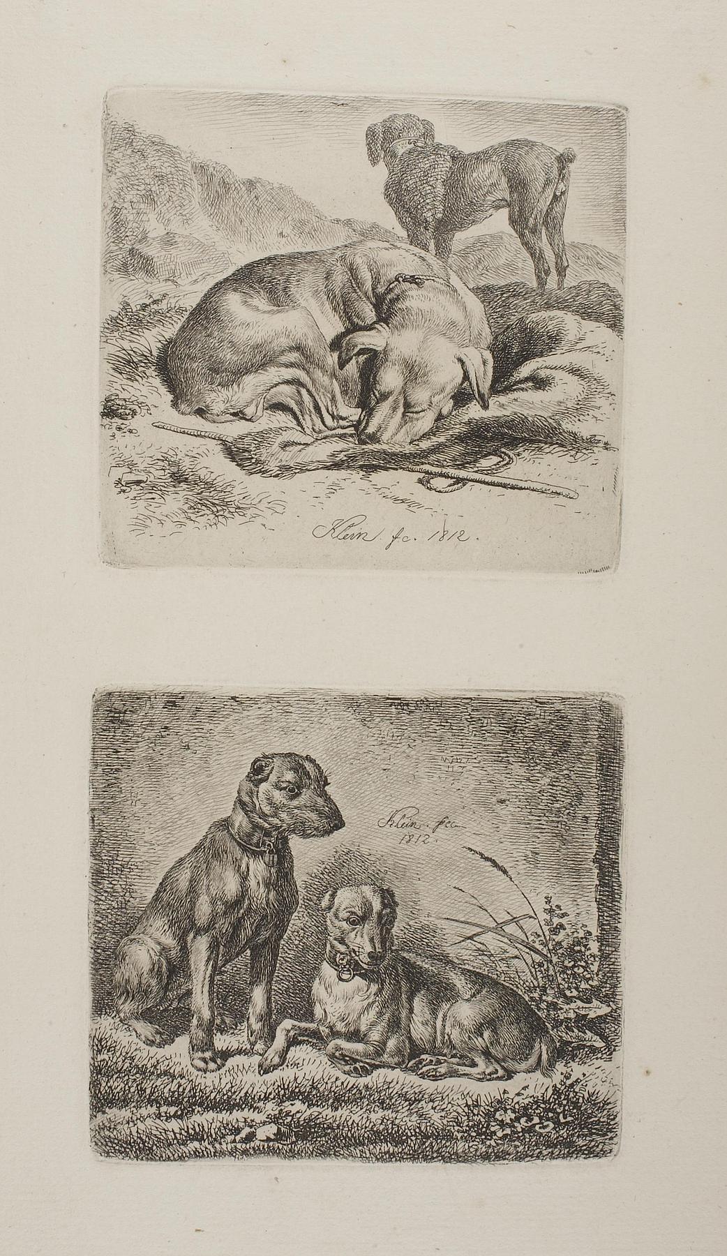 Poodle and Sleeping Sheep Dog. Two Sporting Dogs, E651
