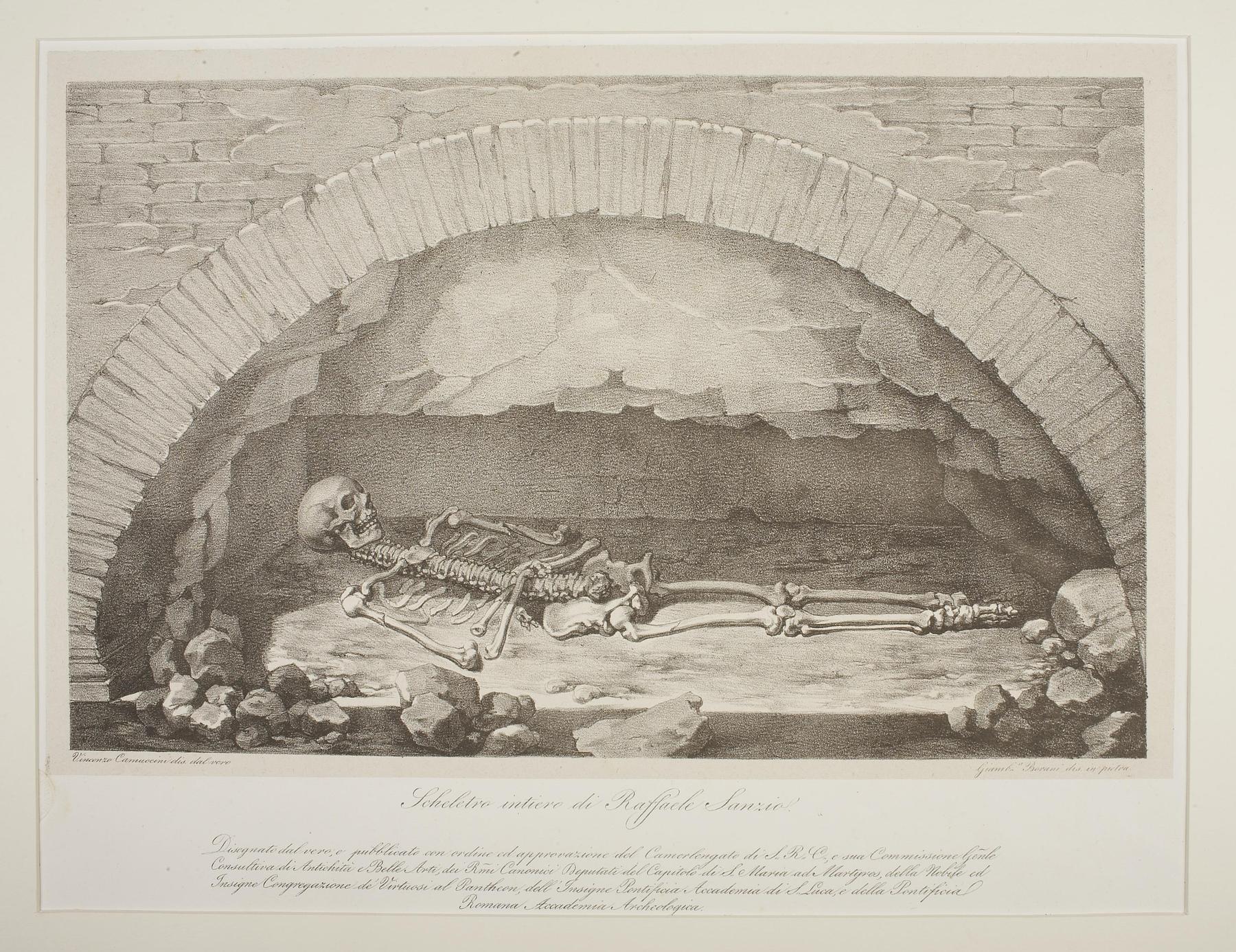 Rafaels skelet ved åbningen af hans grav, E1100