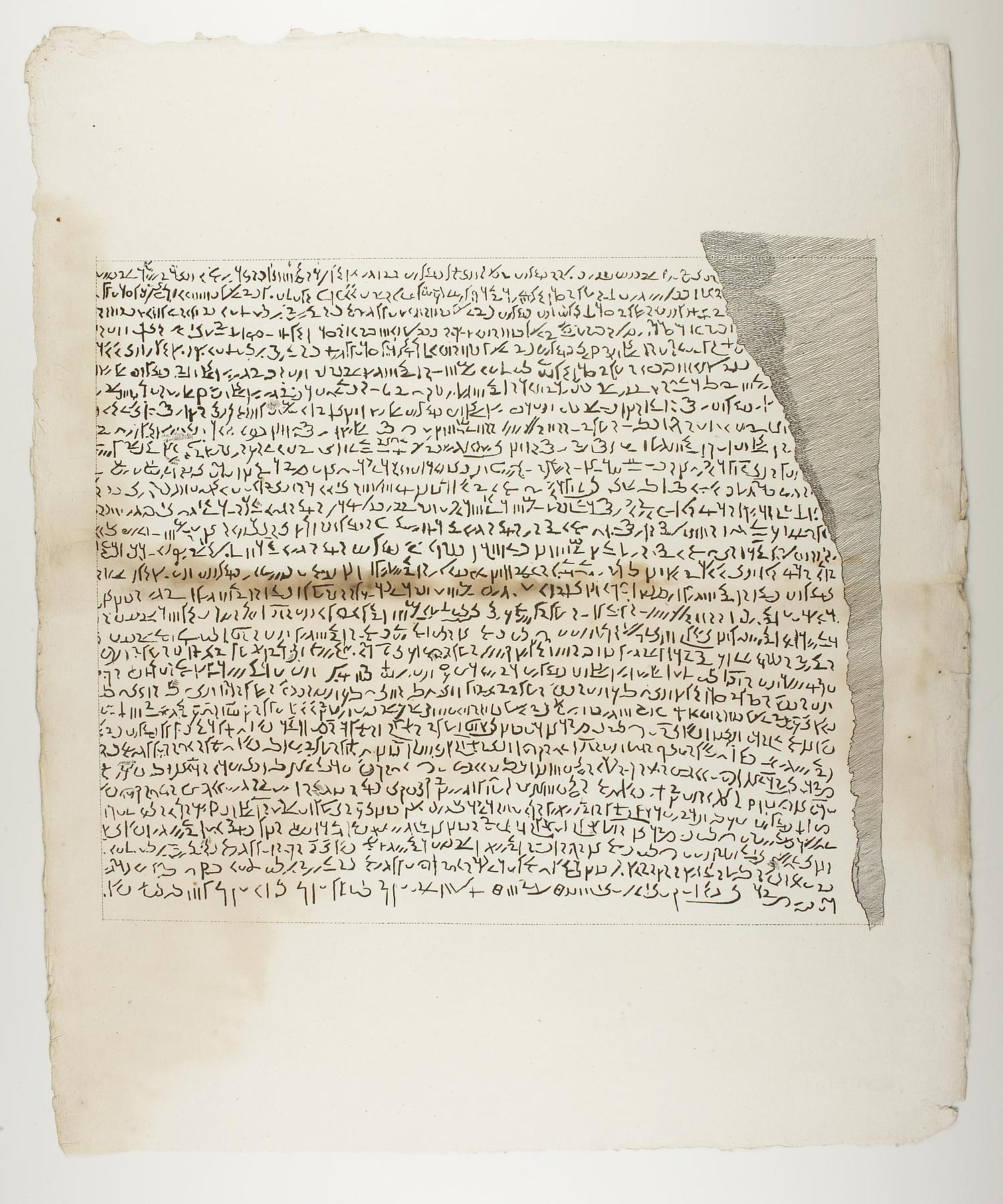 Dekret, demotisk inskription fra Rosettestenen reproduceret på foranledning af Adolf Heinrich Friedrich Schlichtegroll, E1335