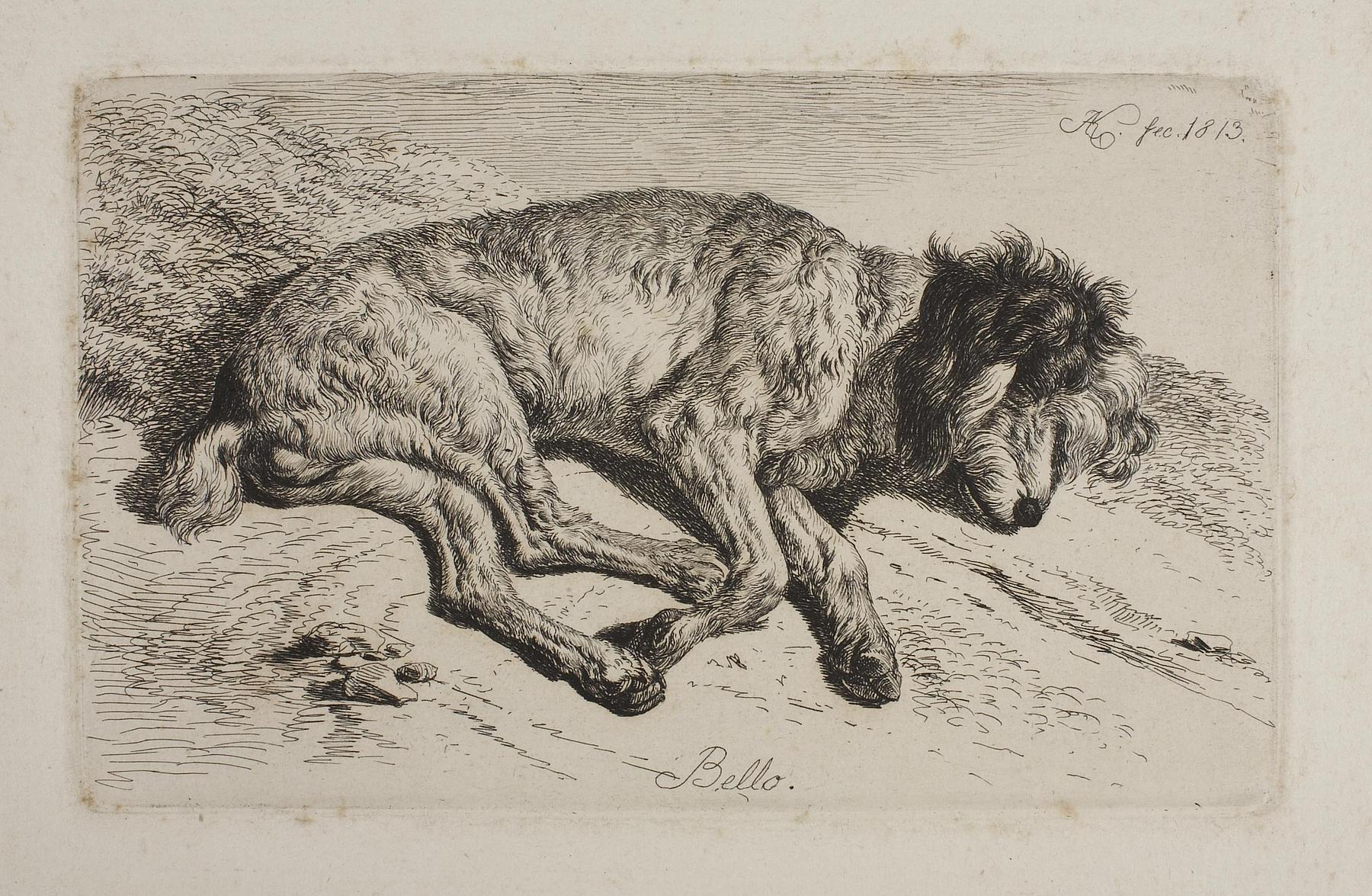 Sovende hund, Bello, E659