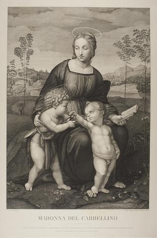 E788 Madonna del Cardellino