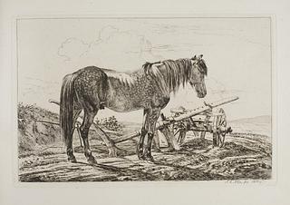 E665,3 Horse by a Plough