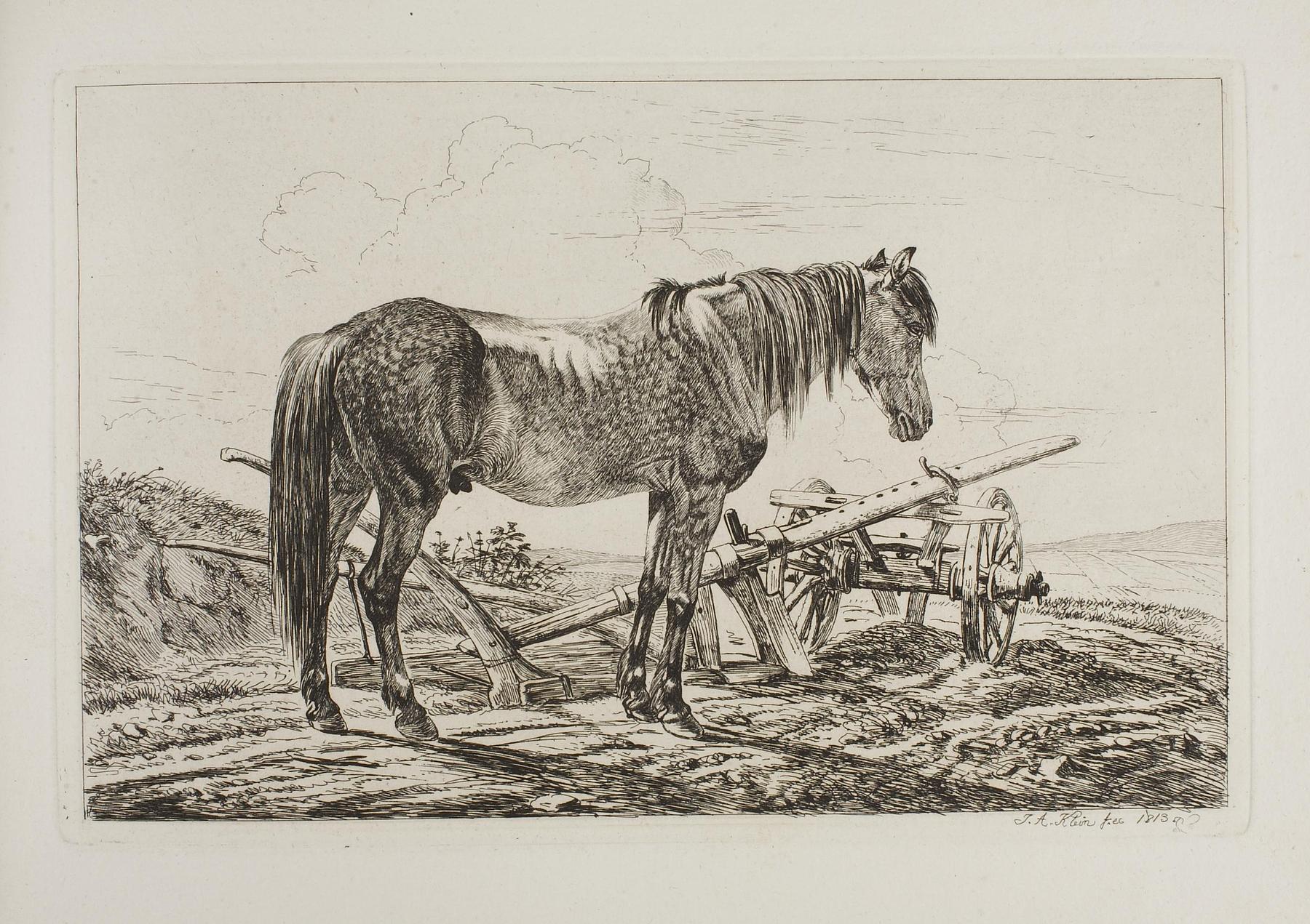 Hest ved en plov, E665,3