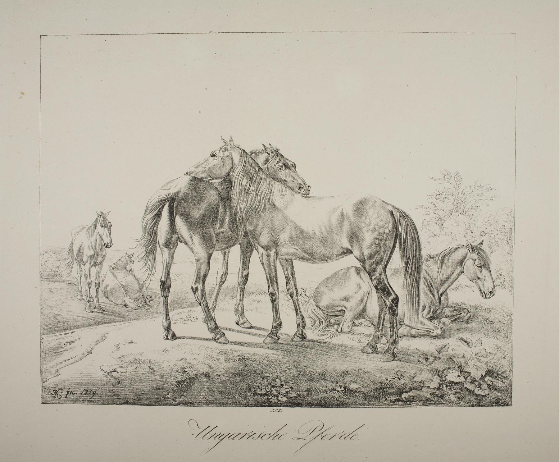 Hungarian Horses, E1134
