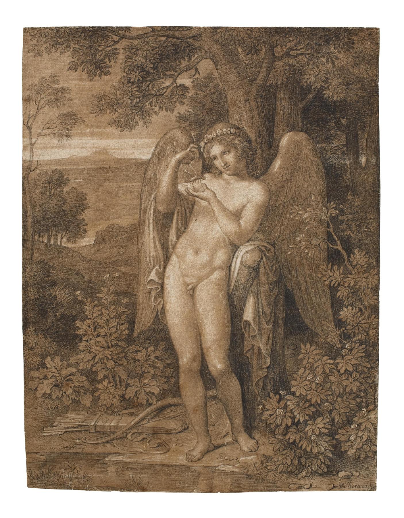 Cupid with a Butterfly, C813