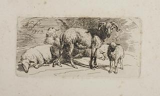 E660 Ram, three Sheep and a Lamb