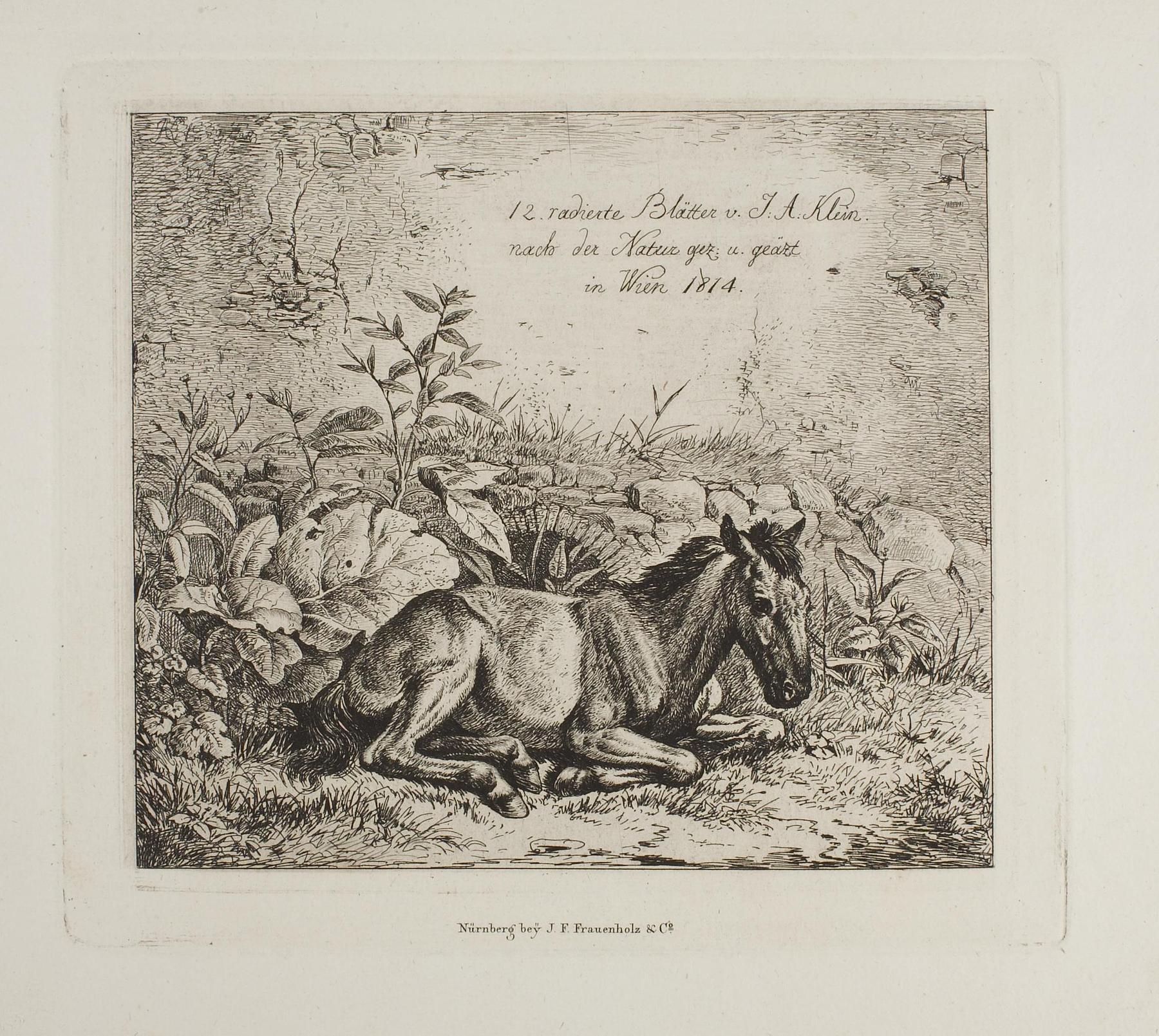 Frontispice for "12 radierte Blätter von Johan Adam Klein", E665,1