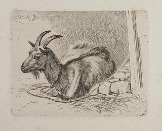 E662 Reclining Goat