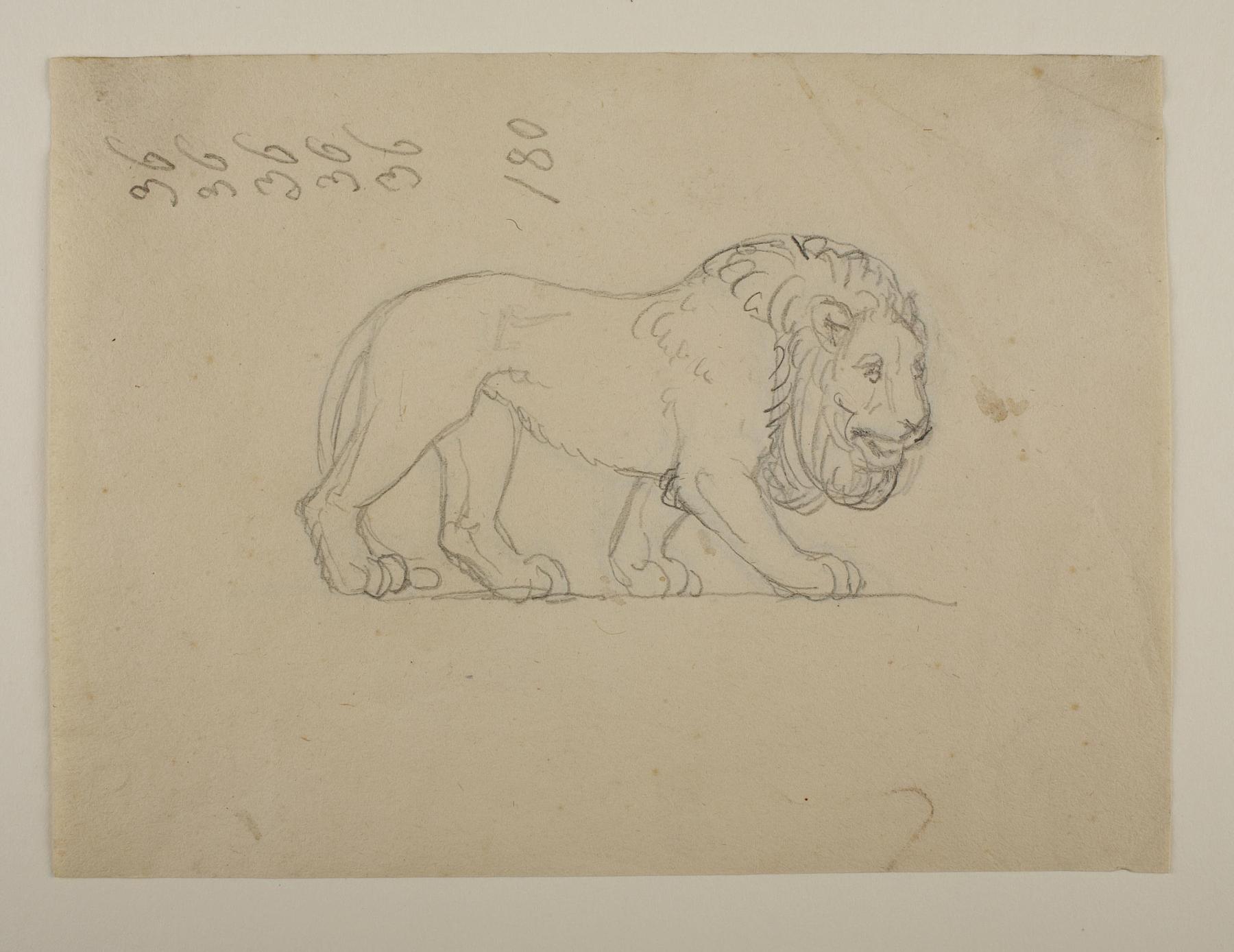 Lion, C469ar