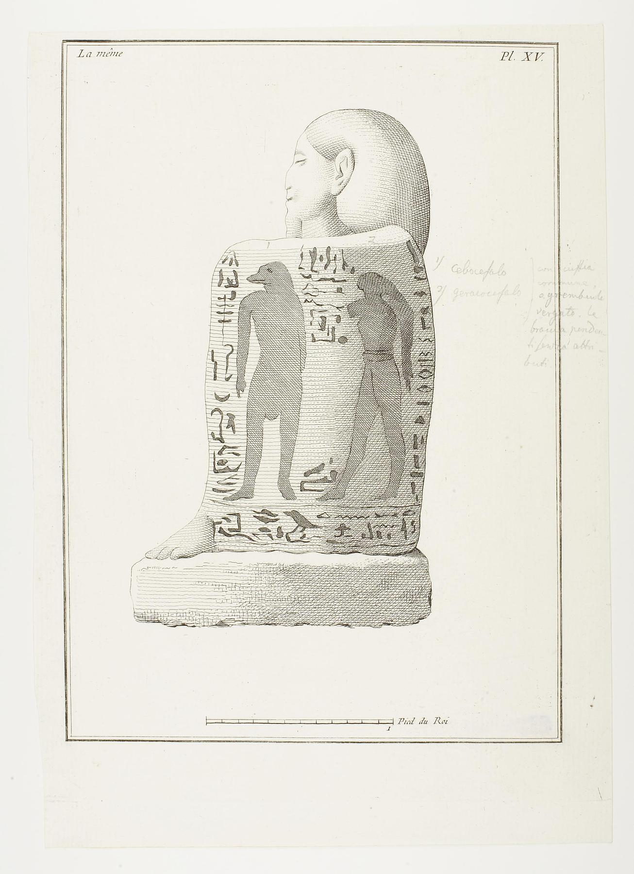 Isis, side view, E1367