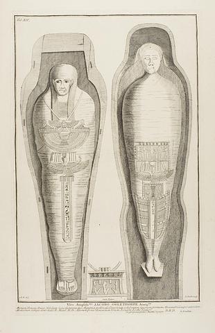 E1383 Inner-coffin with mummy