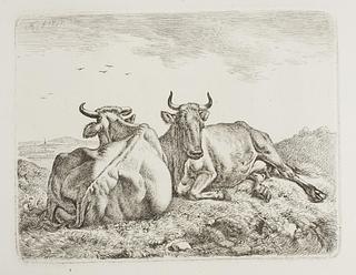 E715,2 Cows Reclining in the Field