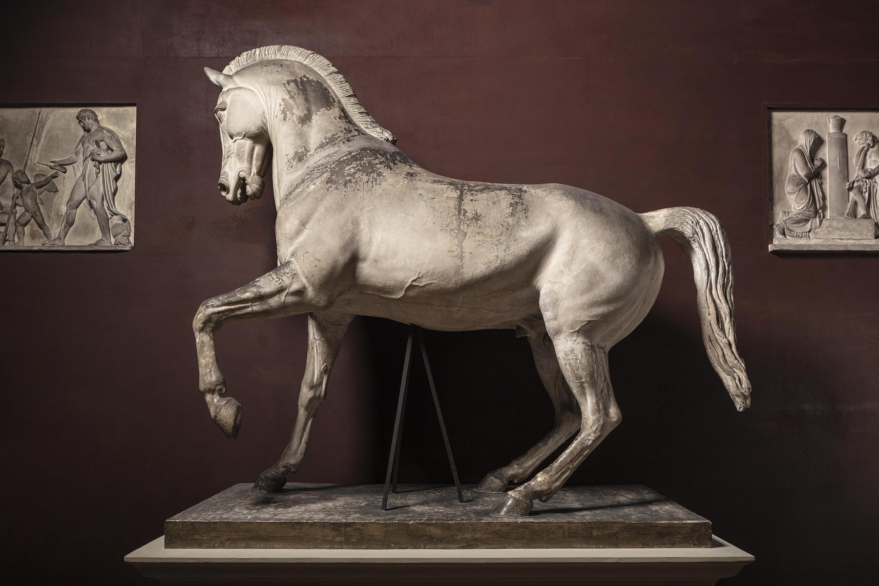 Horse, for the equestrian statue of Józef Poniatowski, A125