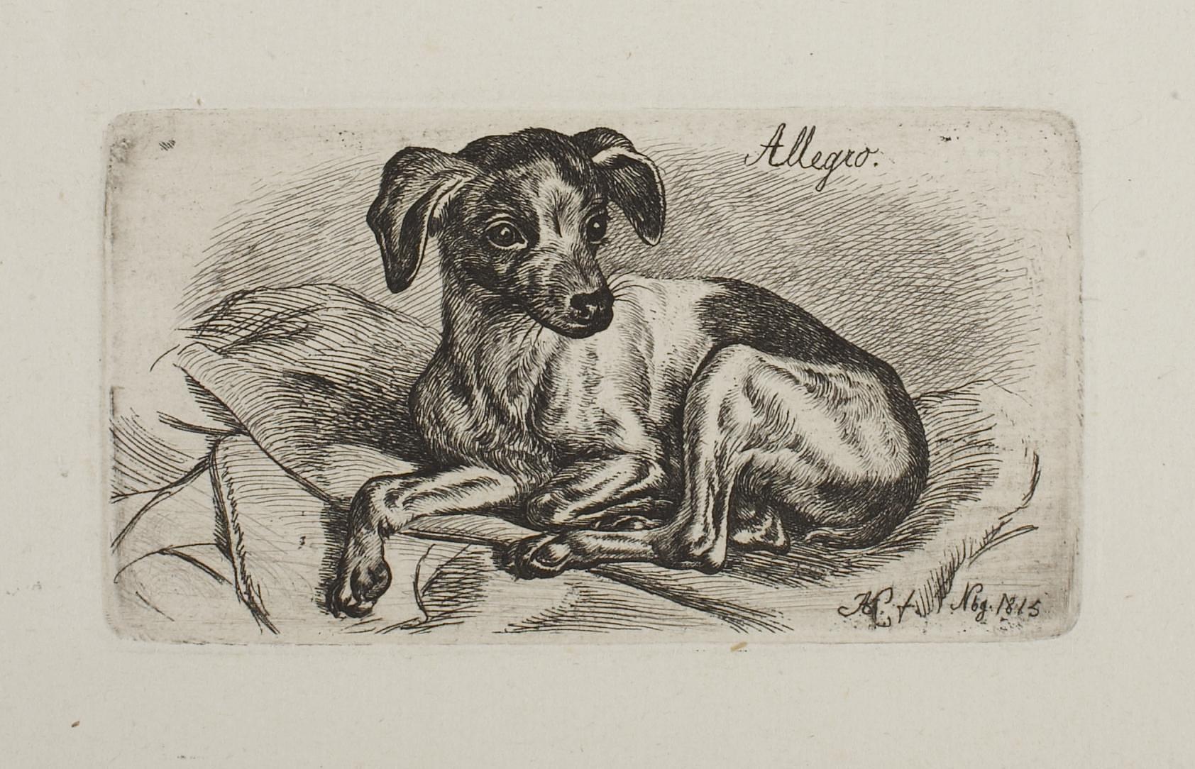 The Lapdog Allegro, E685