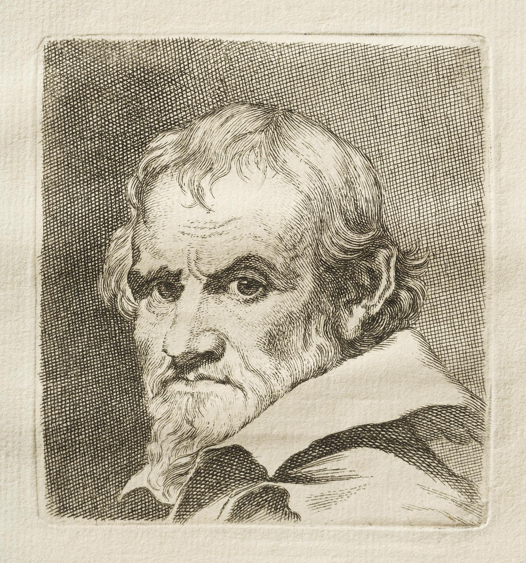 Male portrait, E325,14