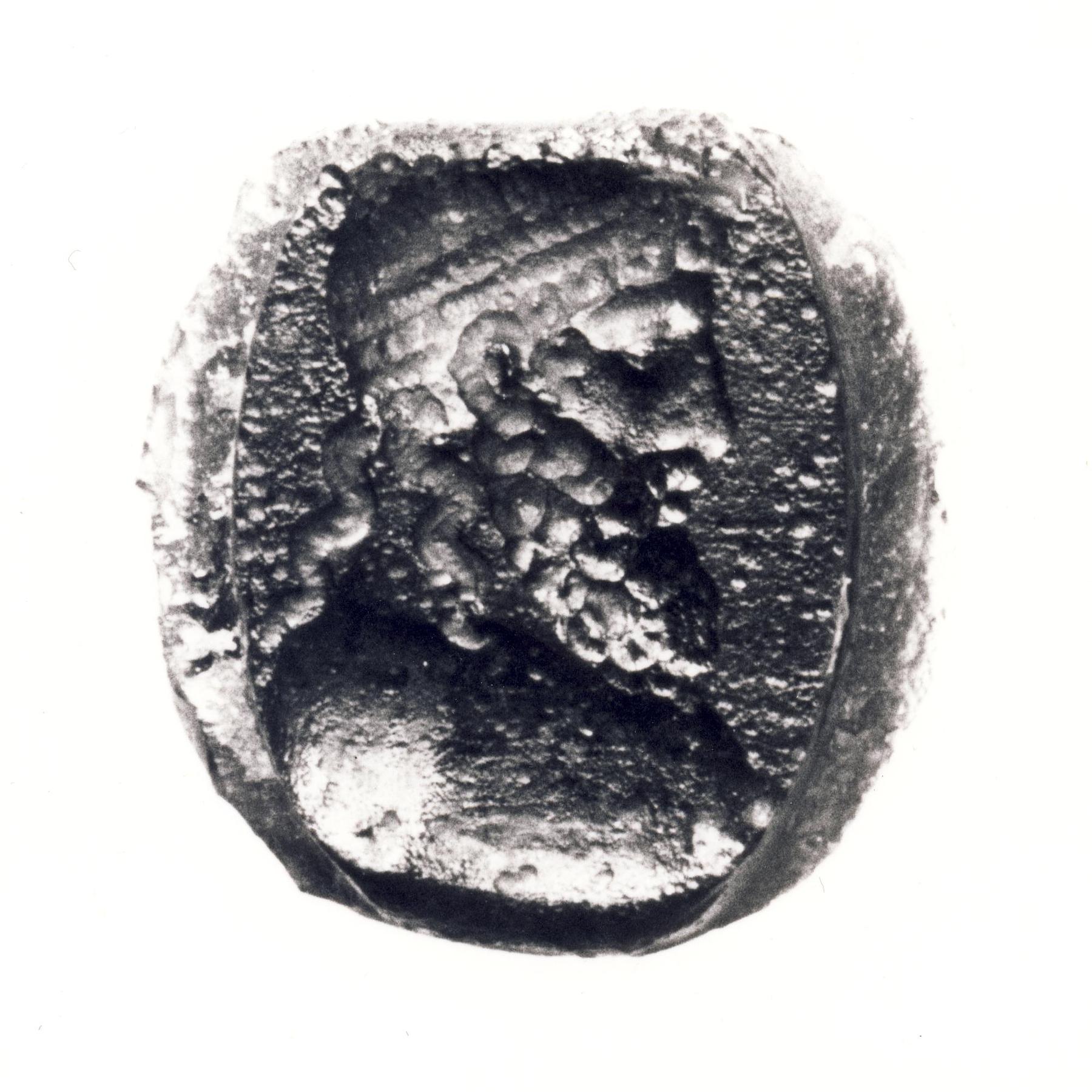 Bust of Zeus, I135