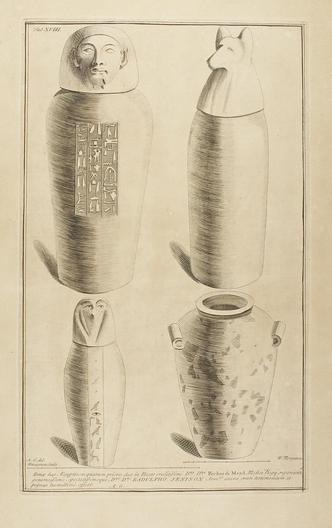 Canopic jars. Urn, E1387