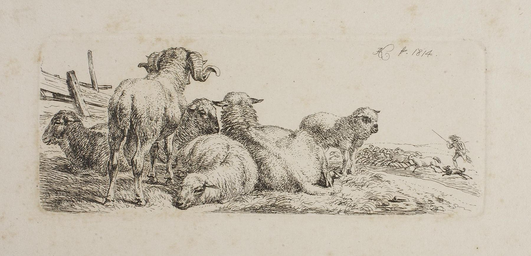 Ram and Sheep in a Field, E672