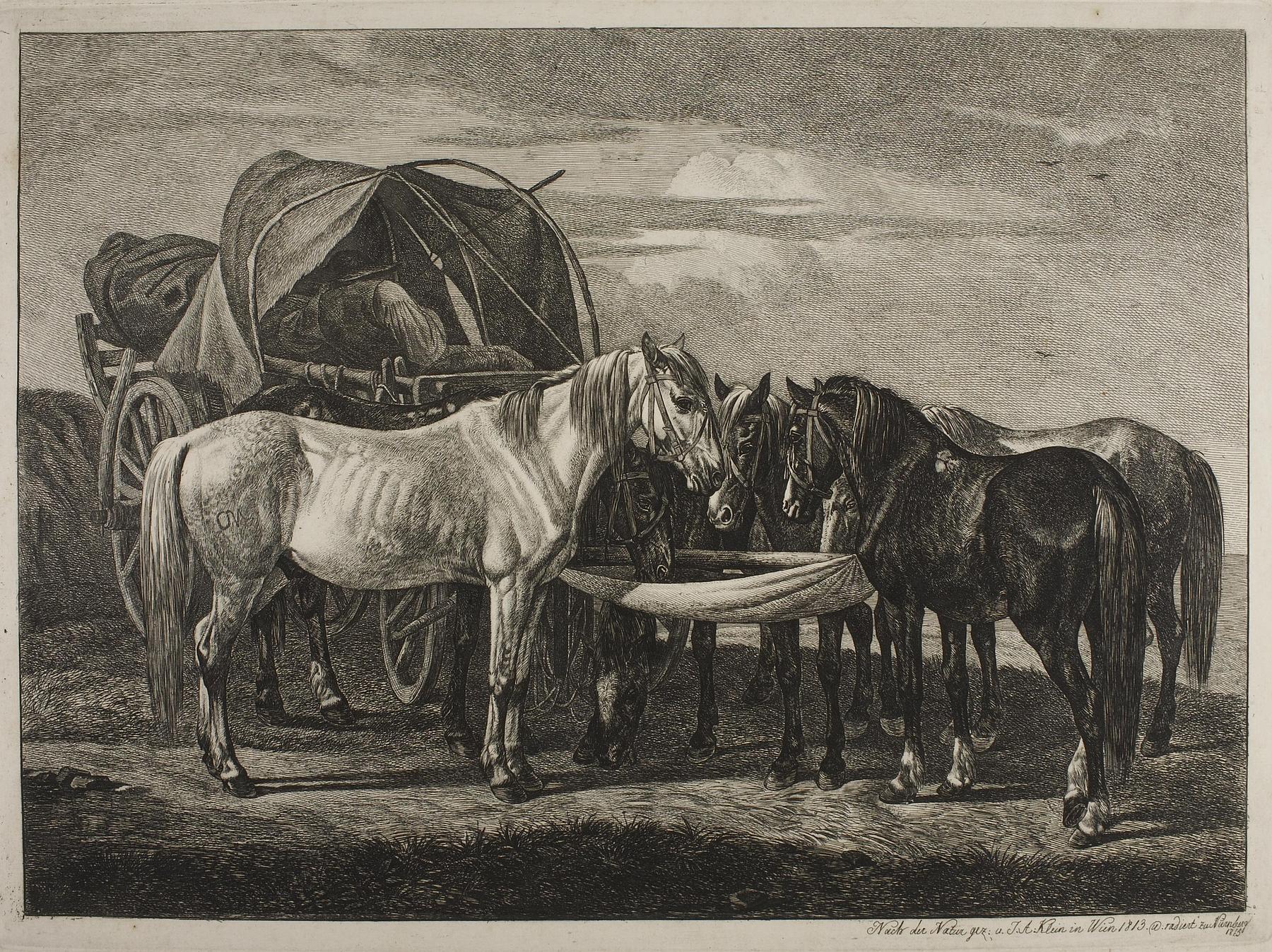 Heste ved en ungarsk vogn, E675