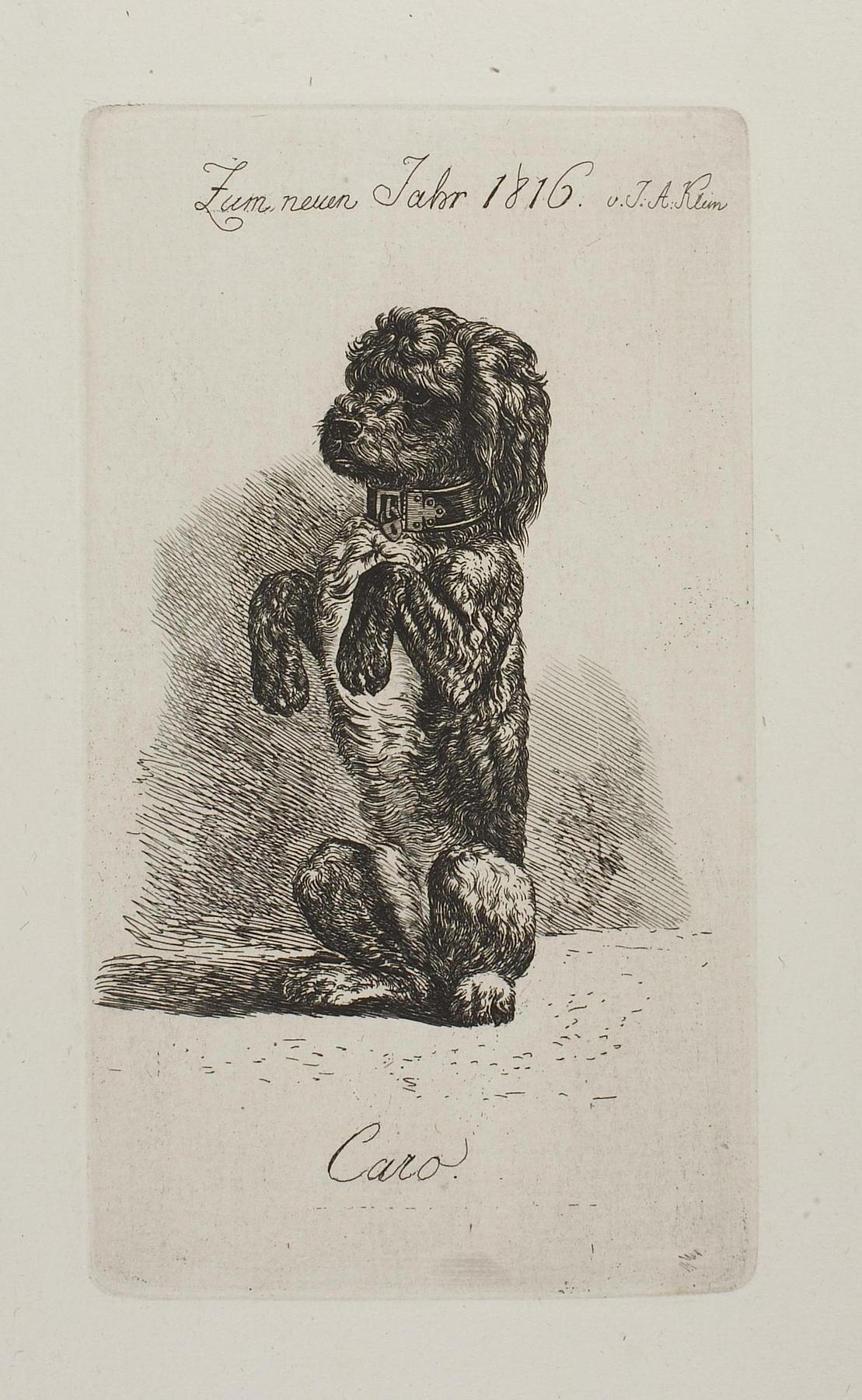 Zum neuen Jahr 1816. Puddelhunden Caro, E686