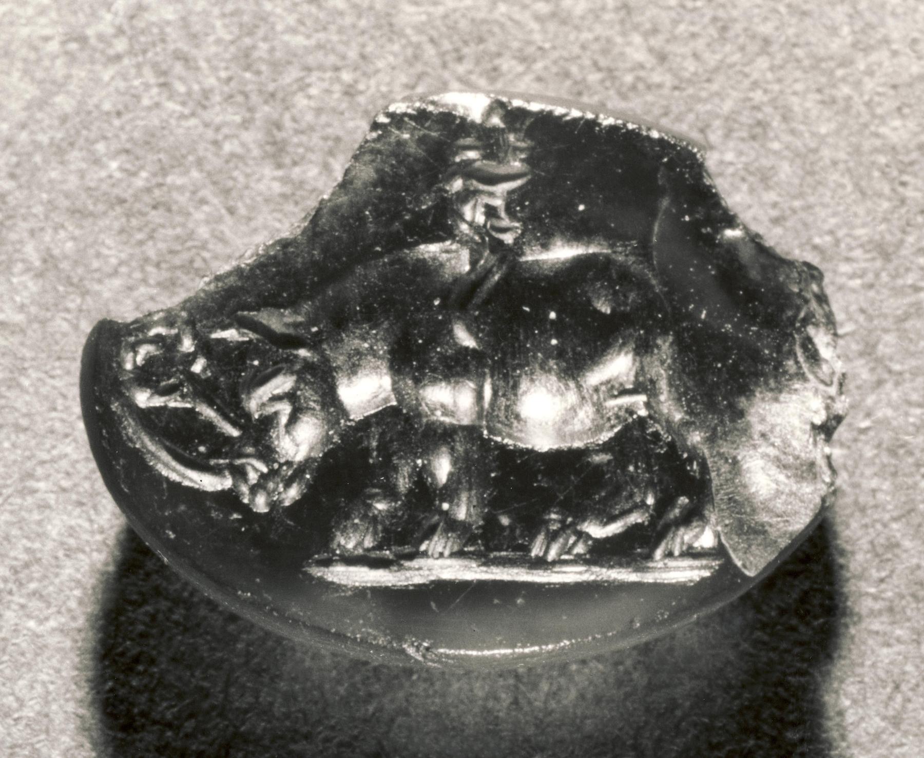 Næsehorn med krans og overflødighedshorn, I1498