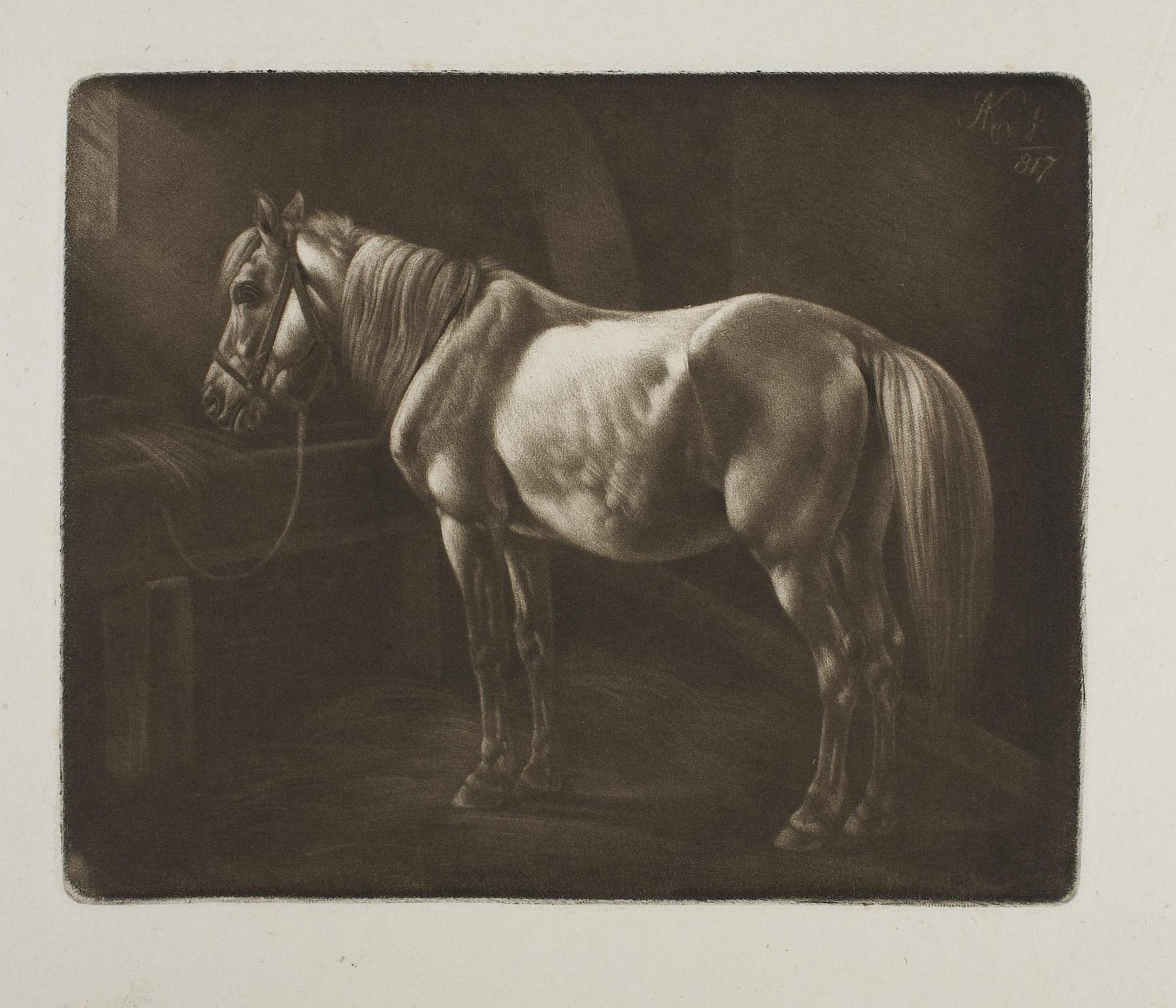 Horse by the Crib, E704