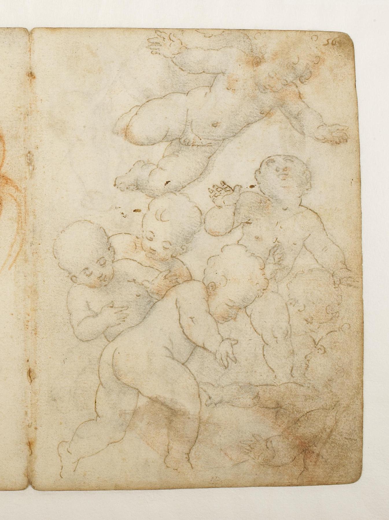 Cupids, D468,56r