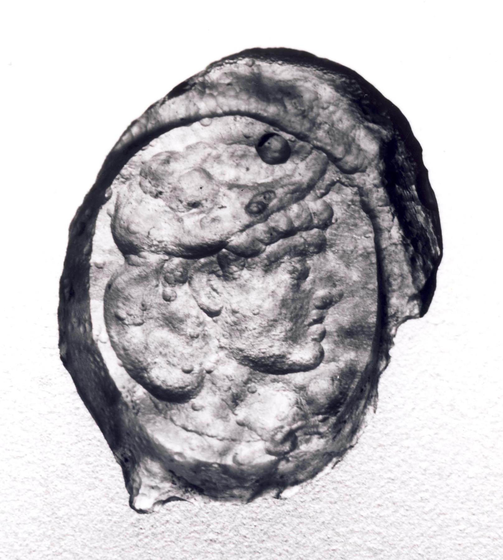 Personification of Africa with an elephant headdress, I642