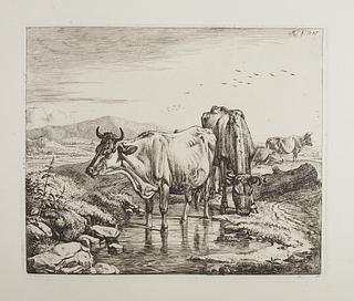 E699,2 Cattle by a Water Hole