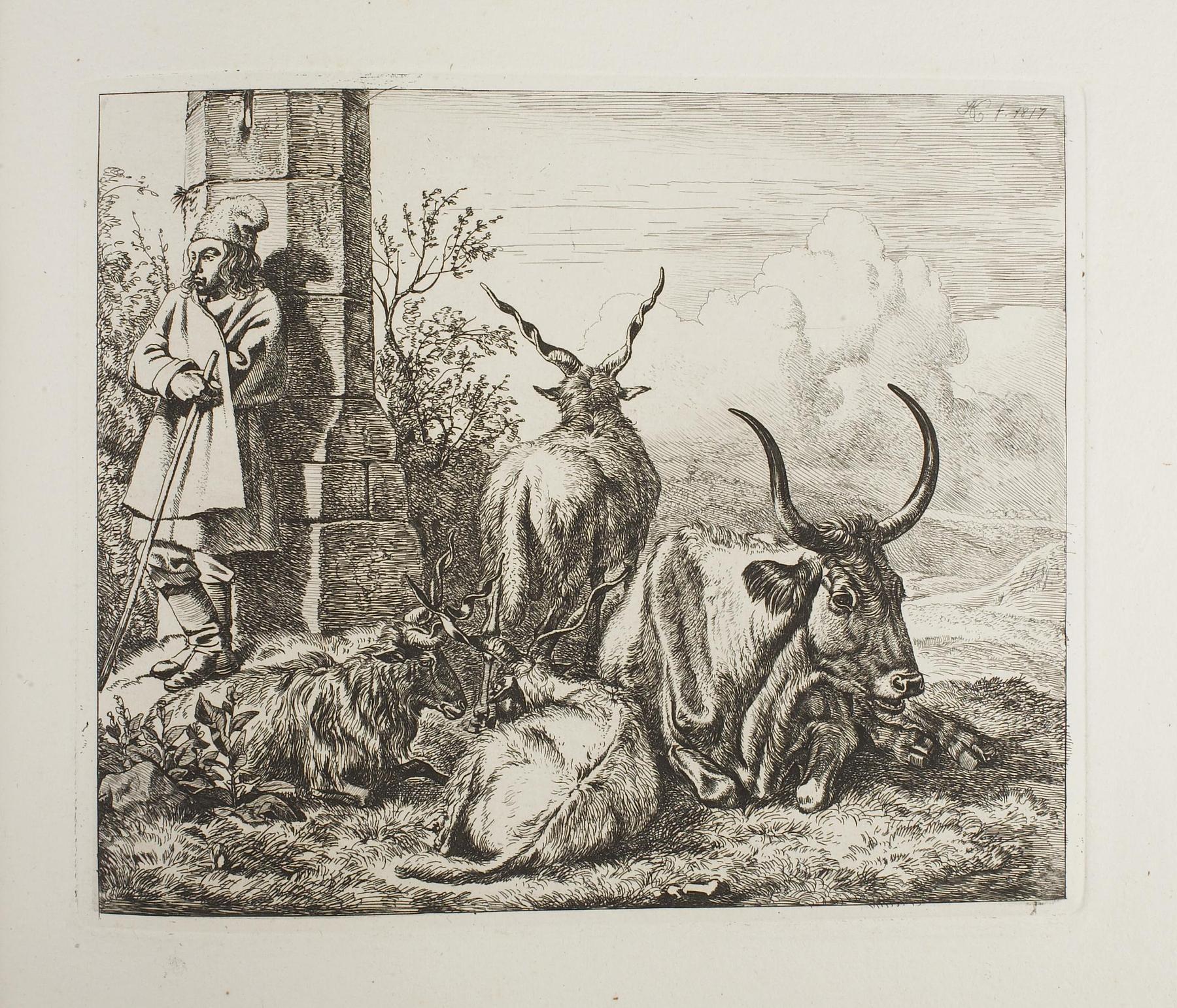 Rams and Ox, E699,5