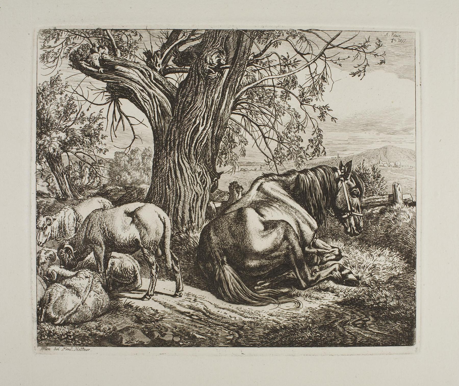 Horse and Sheep Resting under a Willow, E703