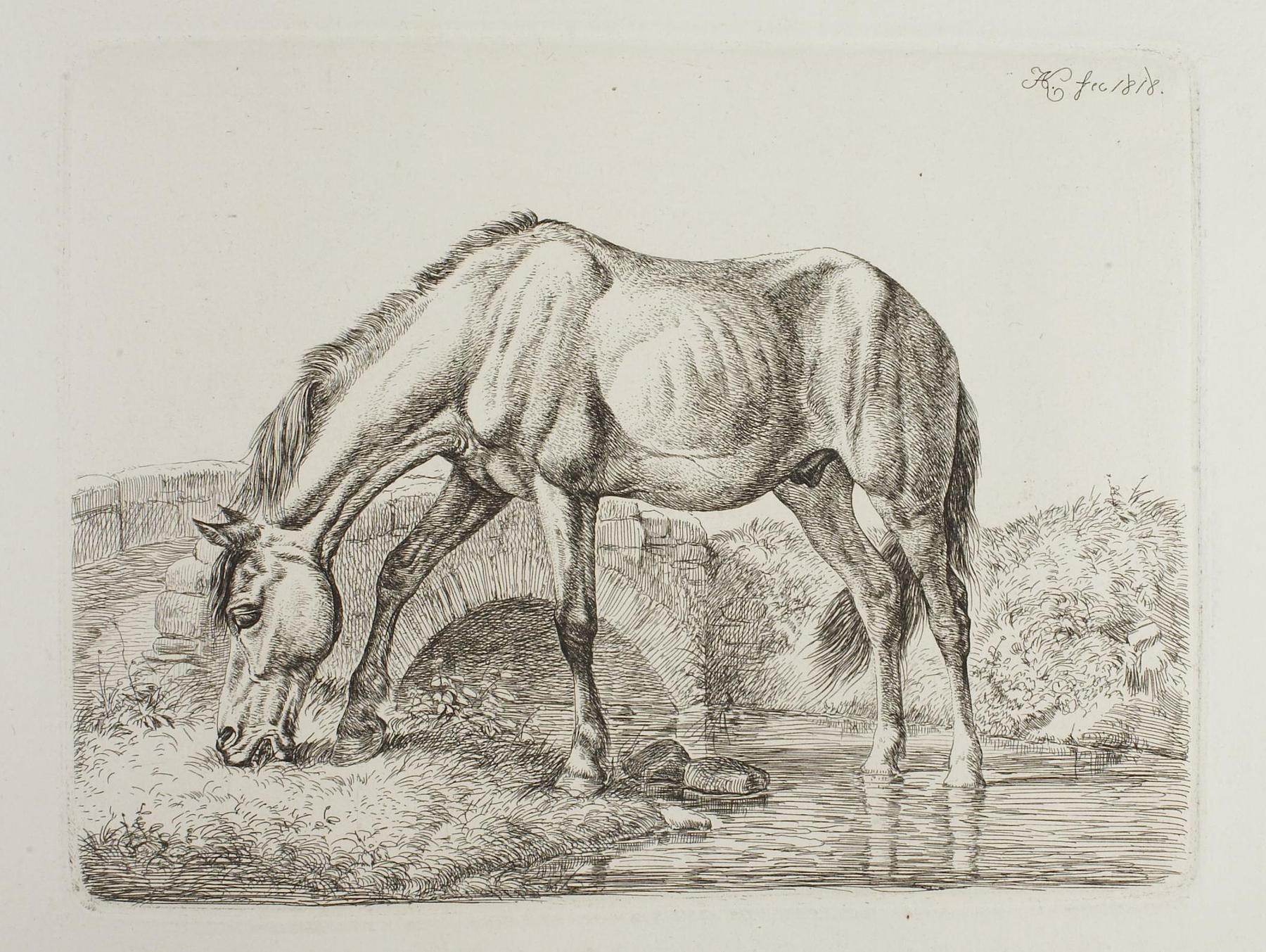Horse at the Bank of a Stream, E715,6