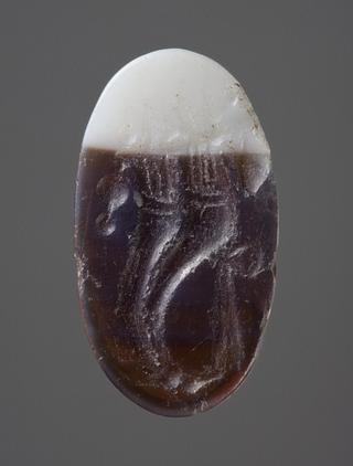 I169 Double cornucopia with a goat's head