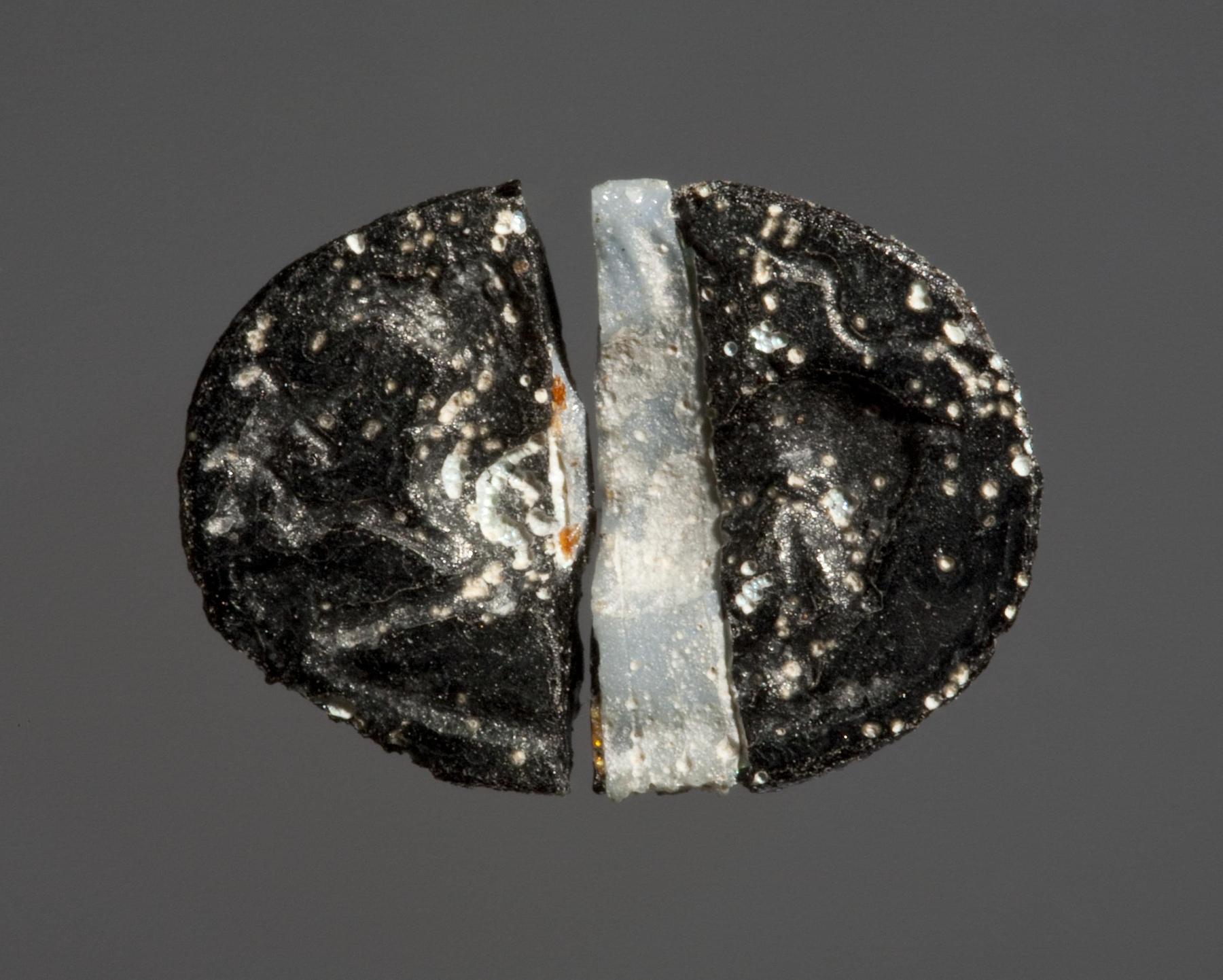 Grif med et firben i næbbet, I211