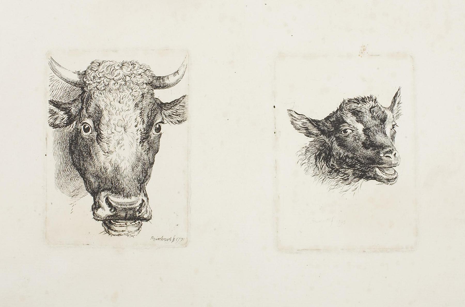 Head of a Cow and Head of a Goat, E986