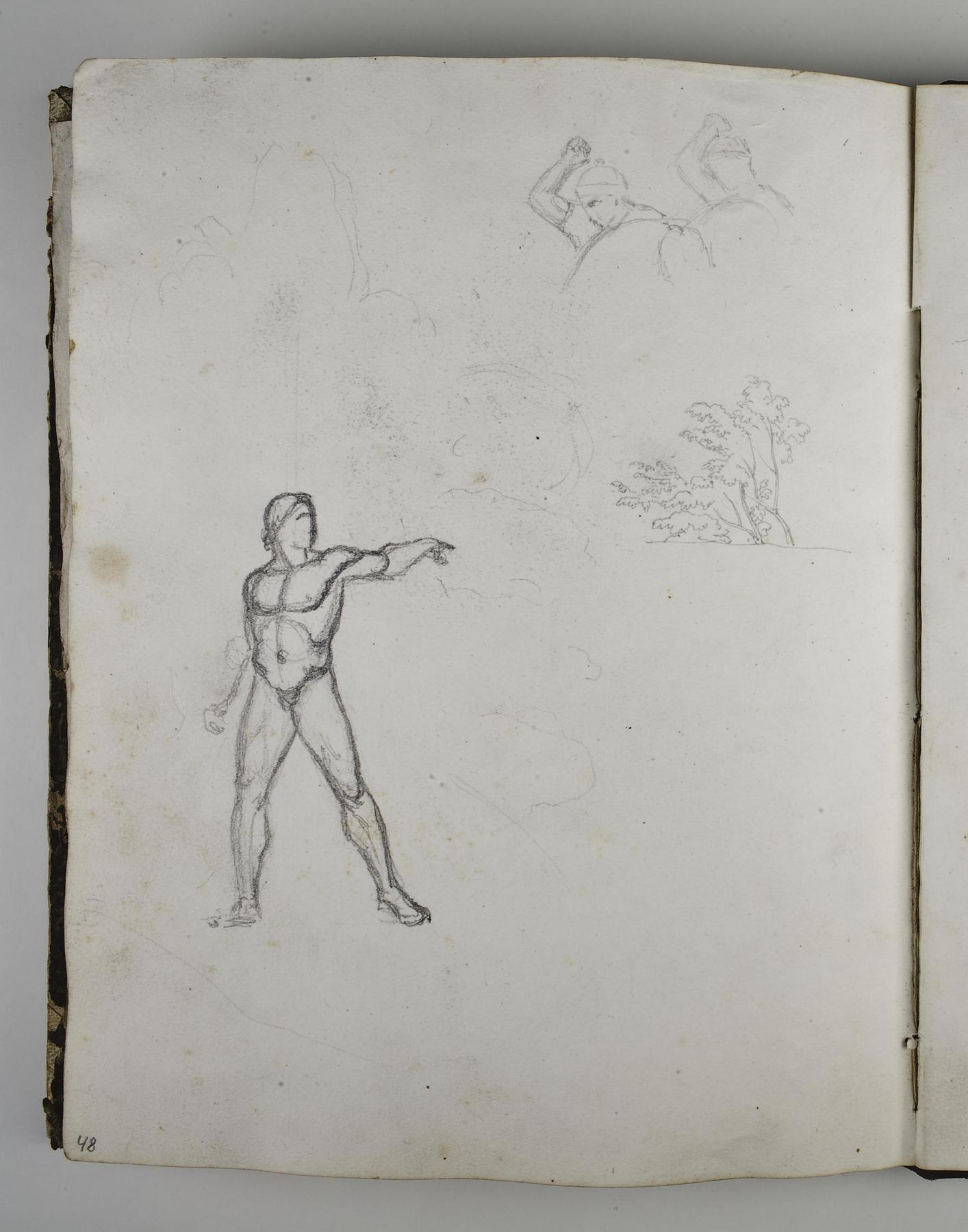 Yngling. Kæmpende kriger. Træer, D1587,48