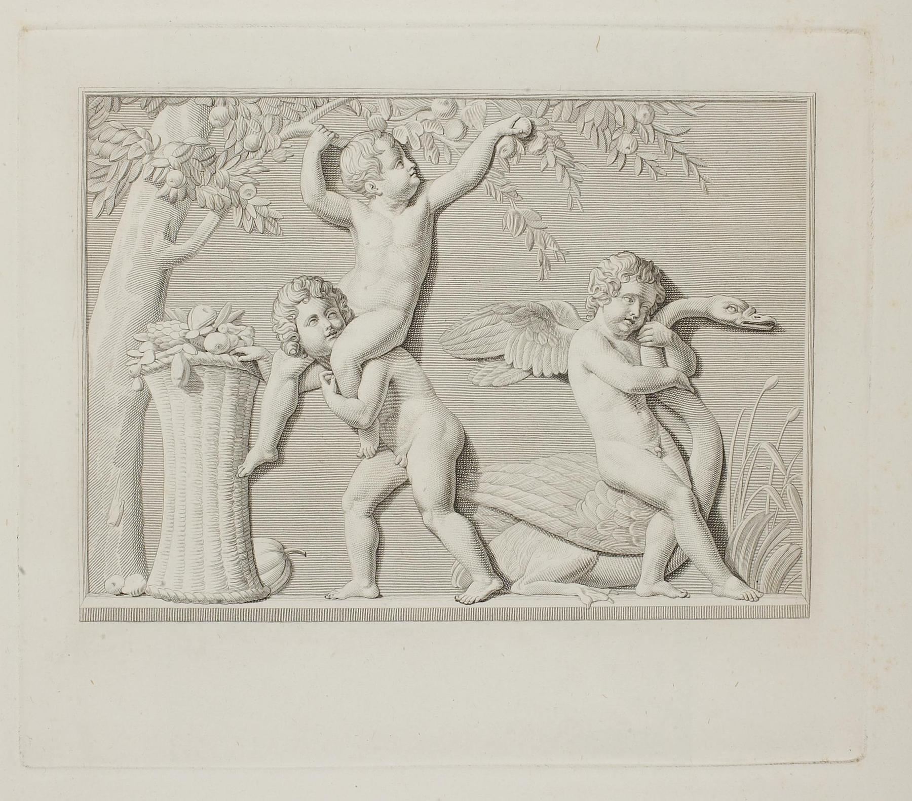 Cupid with a Swan and Boys picking Fruit, The Summer, E32o