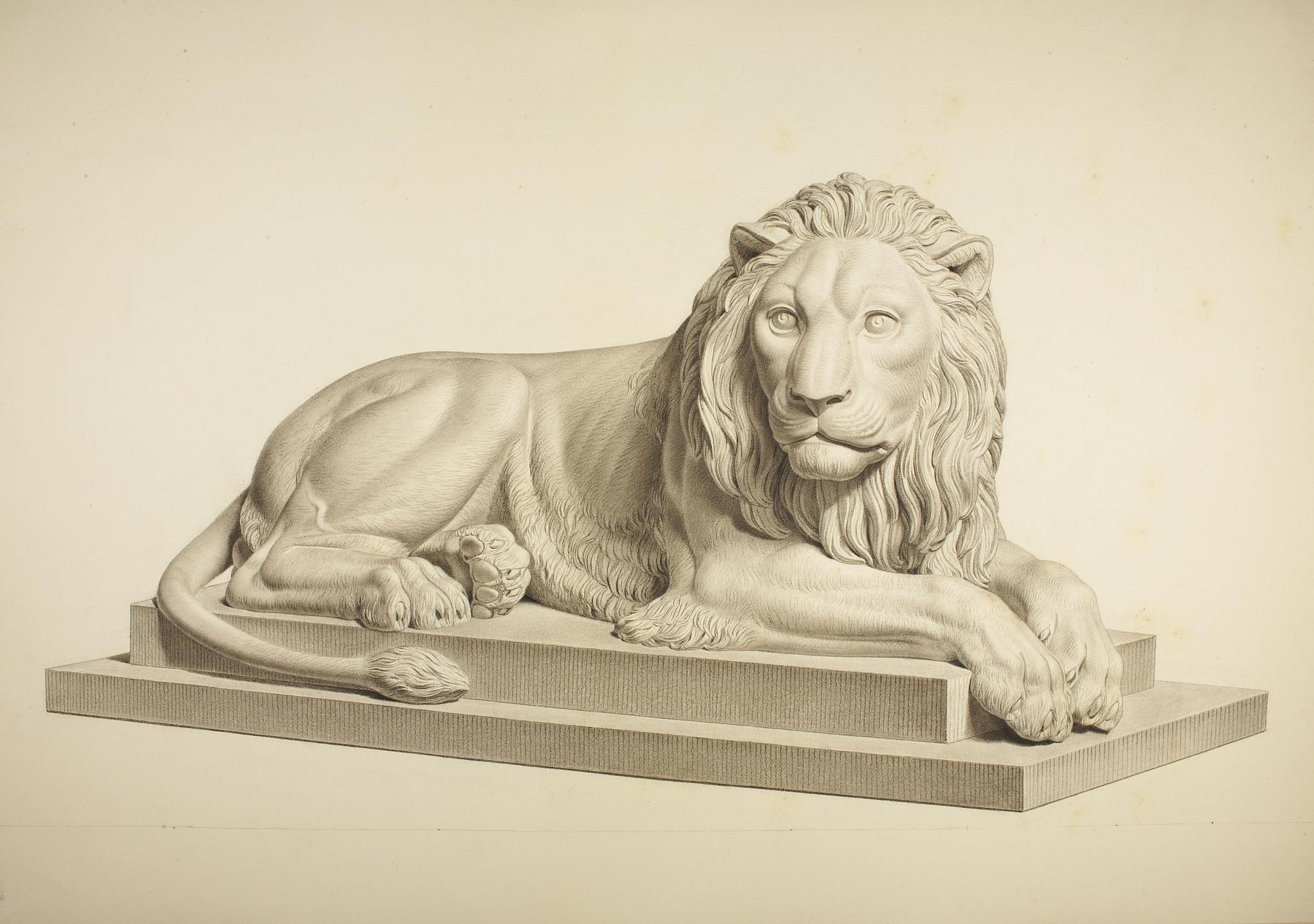 Recumbent Lion, D99