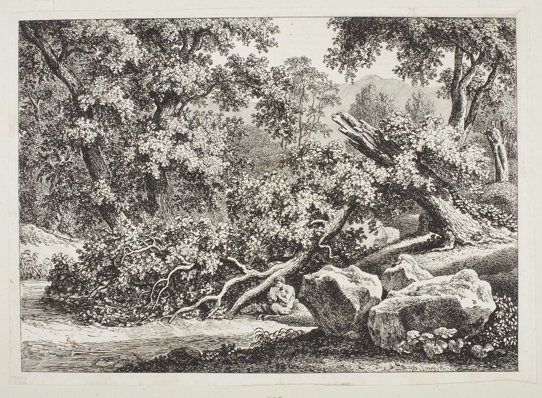 Woodland Scene with Broken Oak, E992