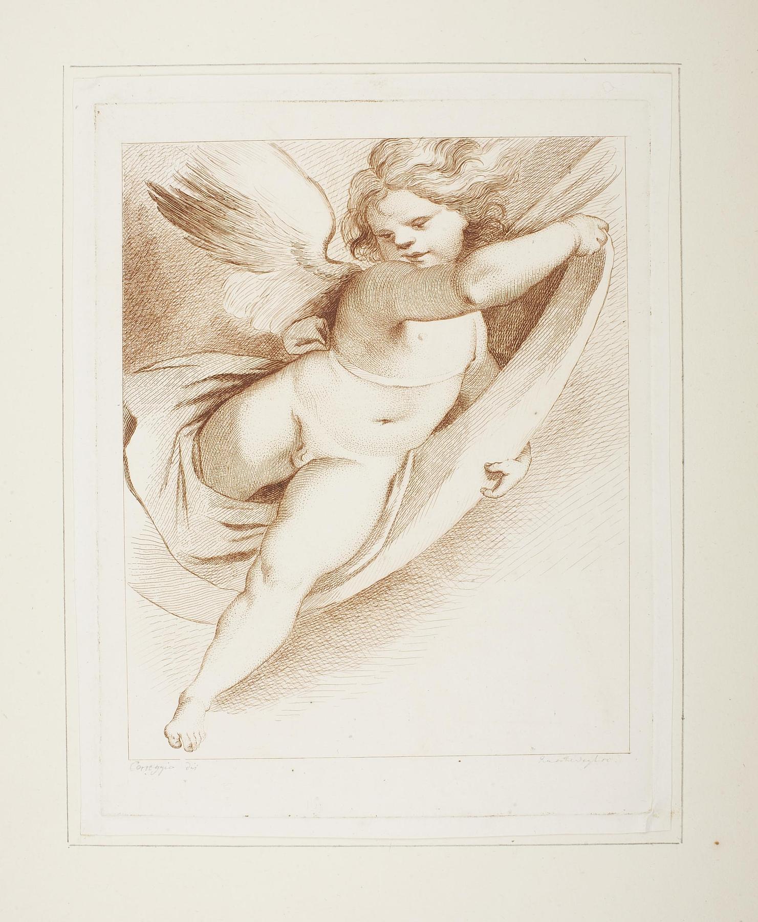 Cupid, E1016