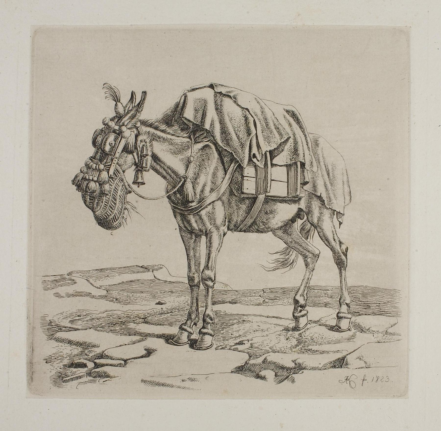 Muldyr med foderpose, E739