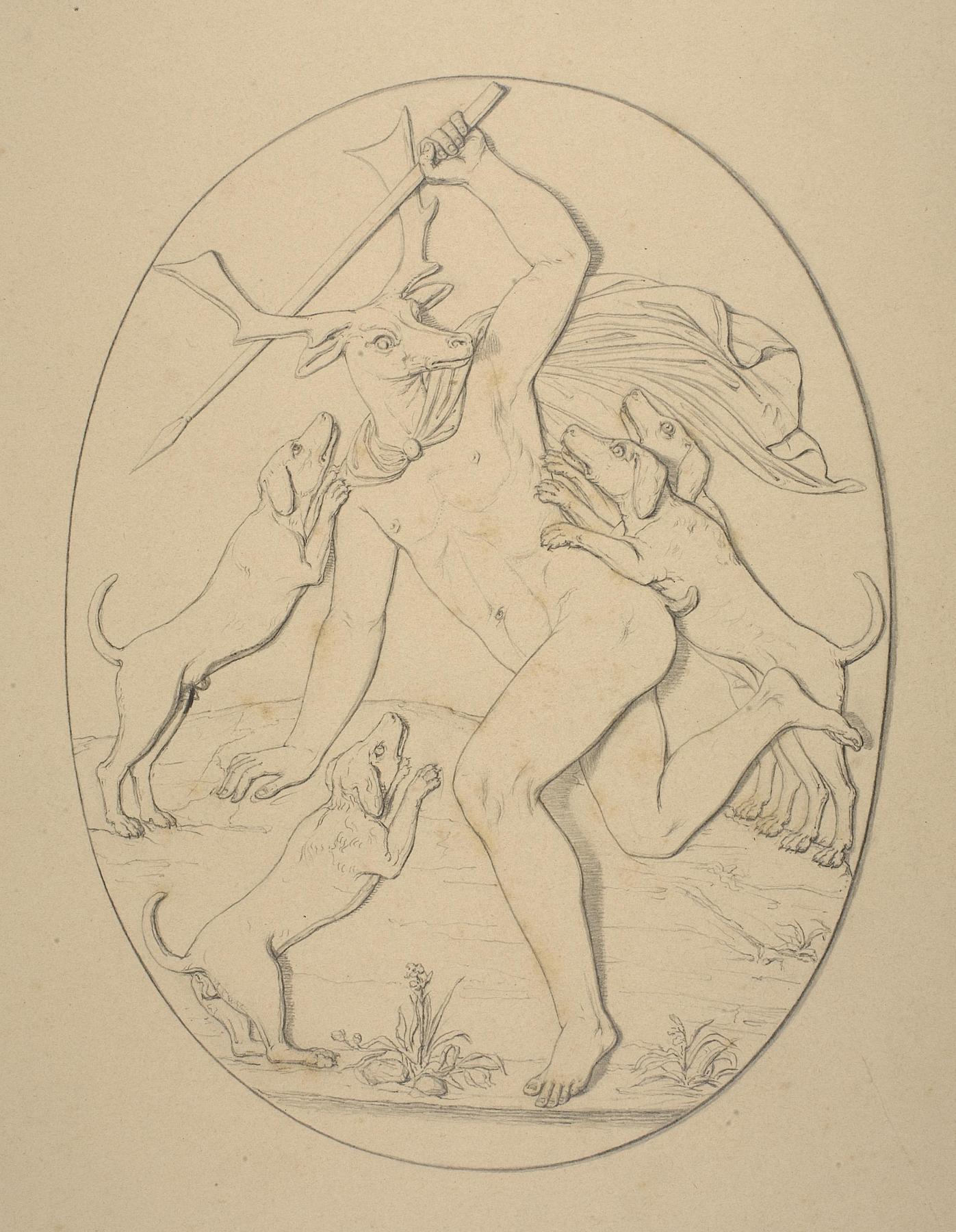 Actaeon Torn by his Dogs, D311