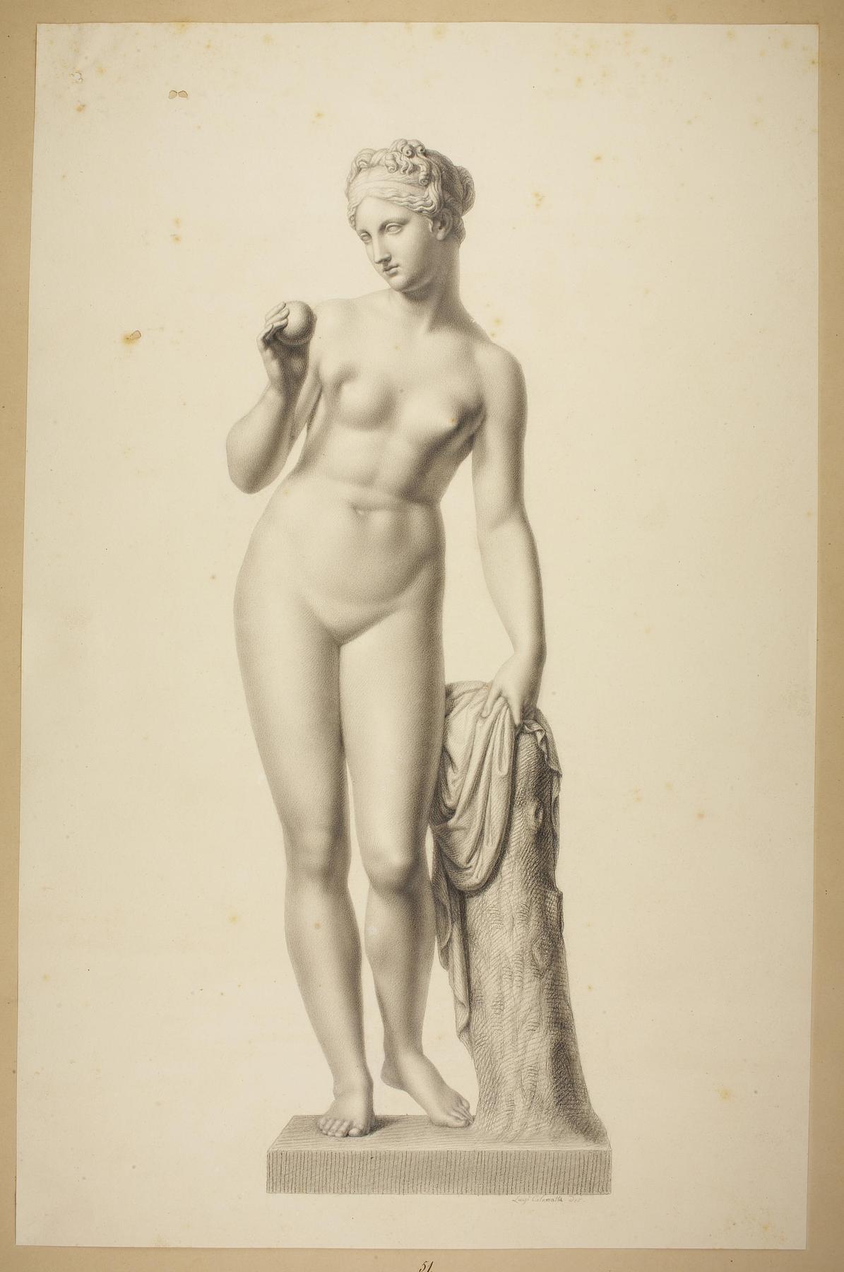 Venus med æblet, D51