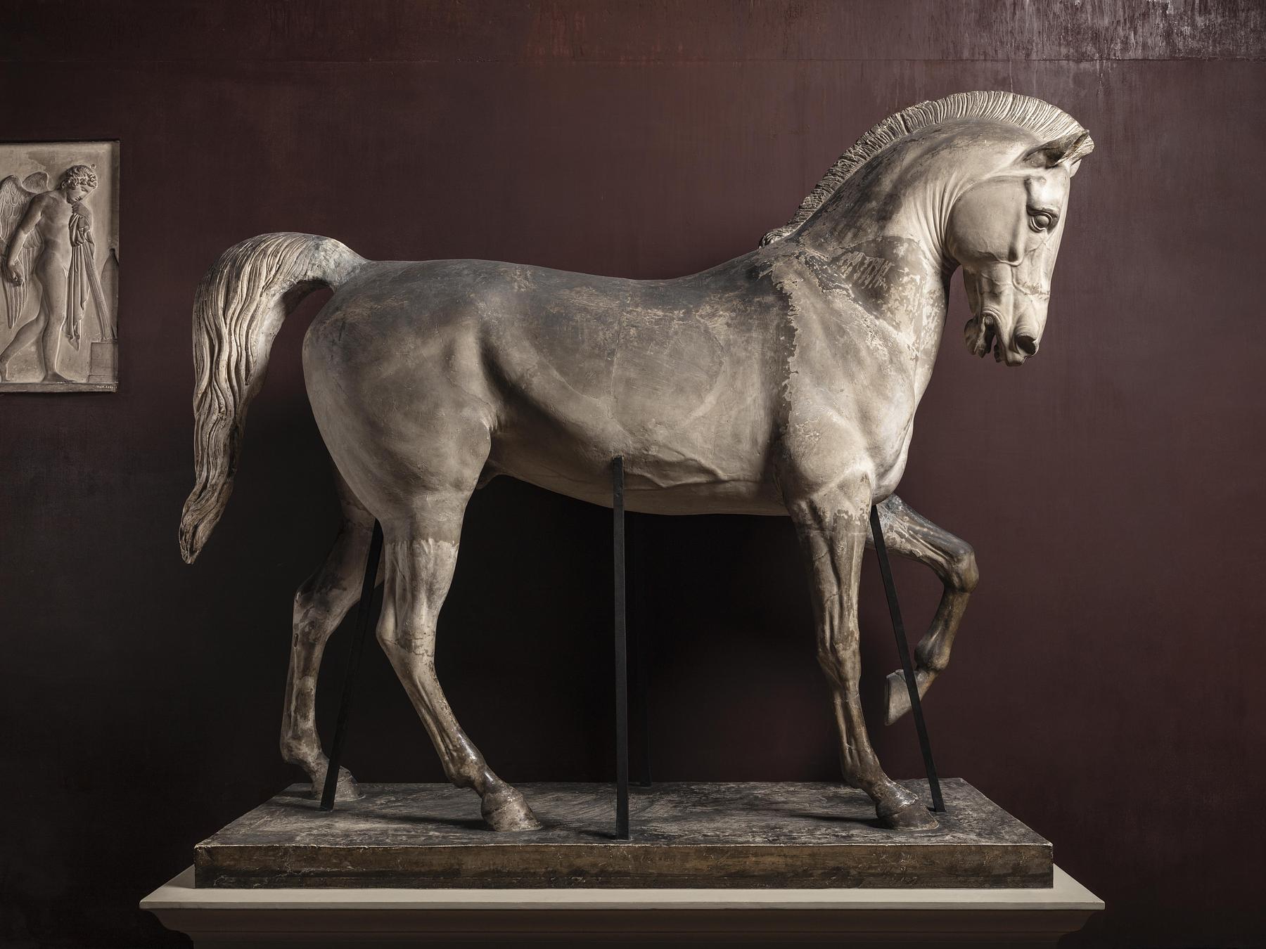 Horse, for the equestrian statue of Maximilian I, A129