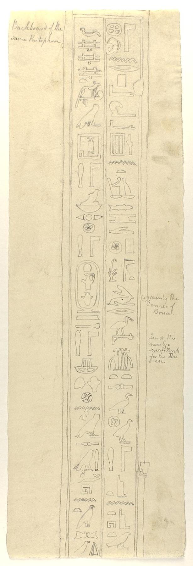 Hieroglyphs, fragment, D1187
