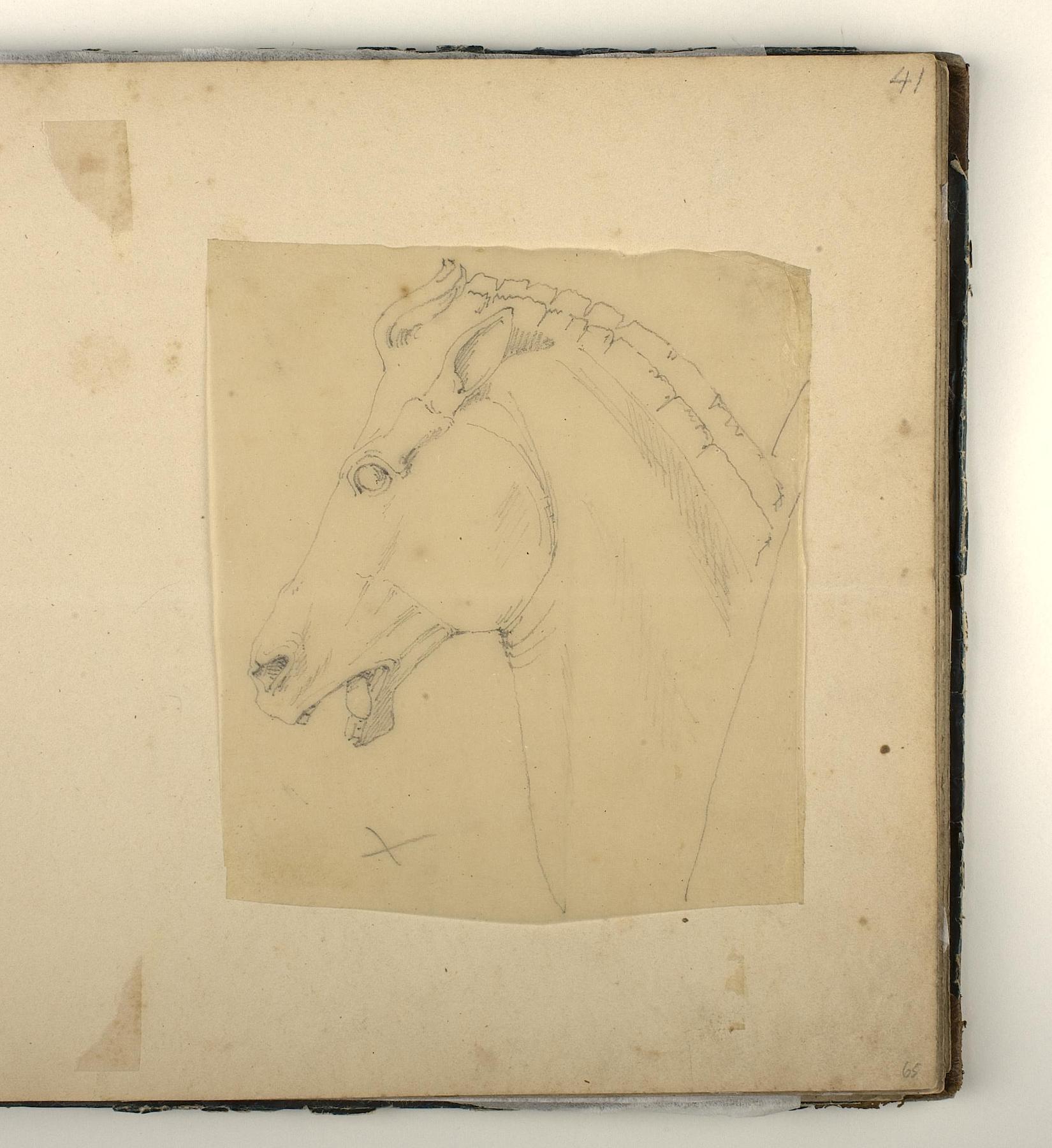 Head of a Horse, D1827,65