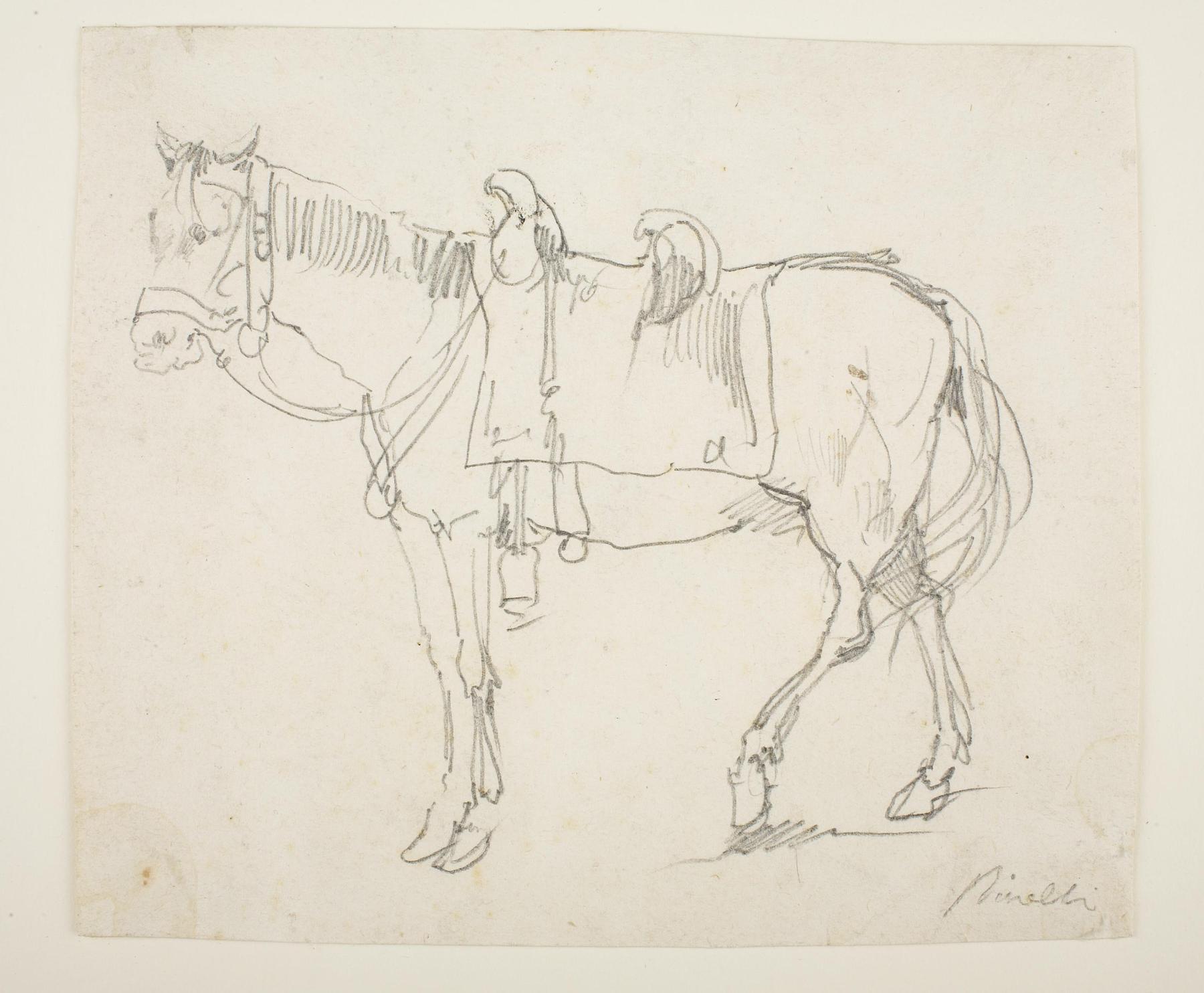 Horse, D516c