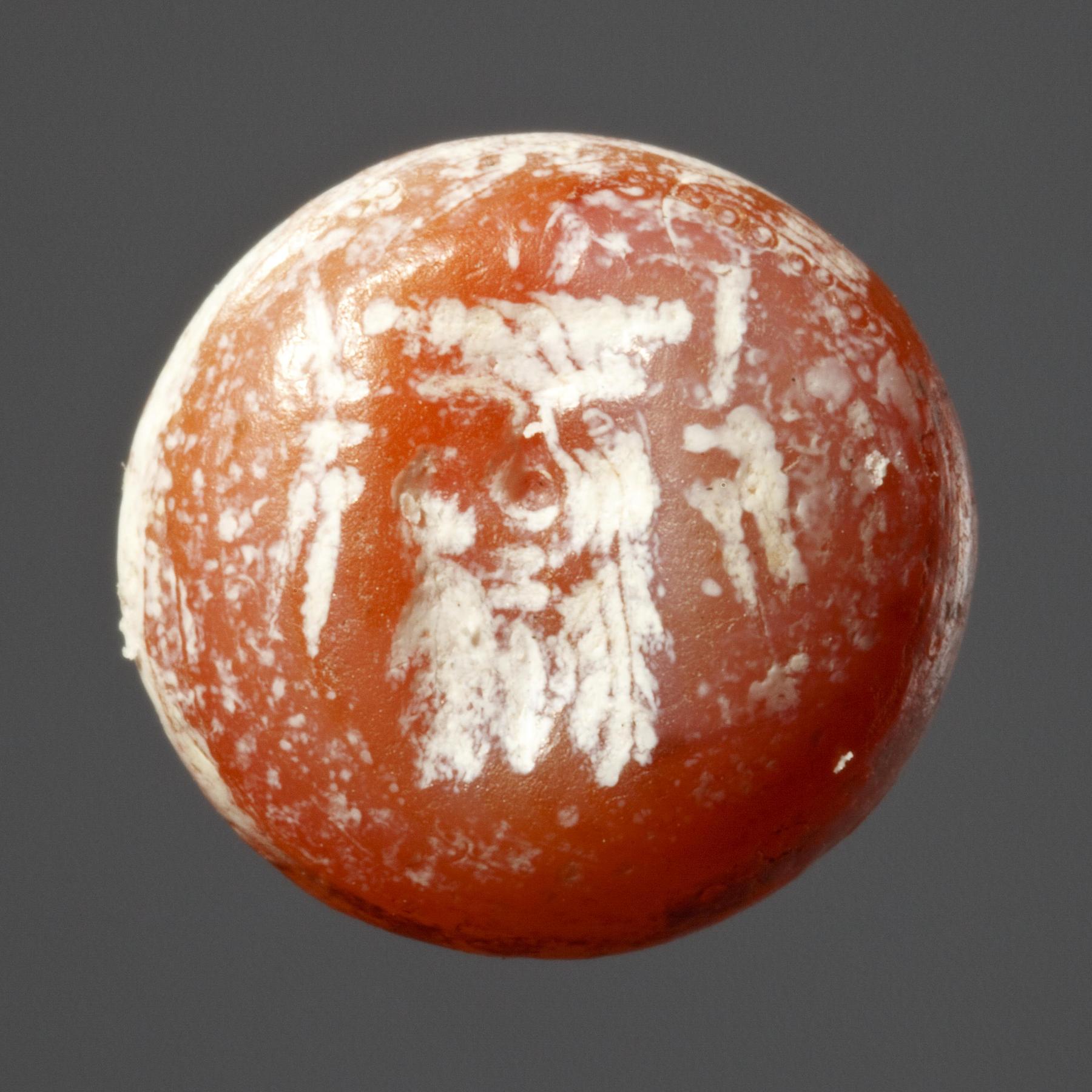 Skægget maske, I1221